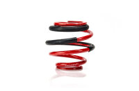 MTS Technik Ersatzteil Hilfsfeder - GWFE298HA