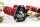 MTS Stance Gold Gewindefahrwerk passend für Mini MINI Cabriolet (R57) Cooper SD 105 KW MTSGWMM03-S