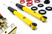 MTS Stance Gold Gewindefahrwerk passend für BMW 3 Coupe (E36) 318 is - 103 KW MTSGWBM116-S