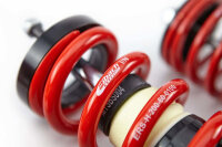 MTS Street Gold Gewindefahrwerk passend für Volkswagen CADDY IV Großraumlimousine (SAB/SAJ) 2.0 TDI - 103 KW MTSGWAL06