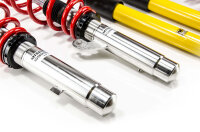 MTS Street Inox Gewindefahrwerk passend für BMW Z4 Roadster (E89) sDrive 23 i - 150 KW XMTSGWBM60