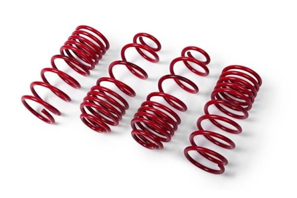 MTS Tieferlegungsfedern passend für BMW 3 (F30) 330 d 190 KW MTSXBM155